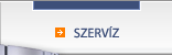 Szervíz